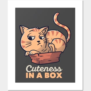 Cuteness In A Box Funny Cat Gift Posters and Art